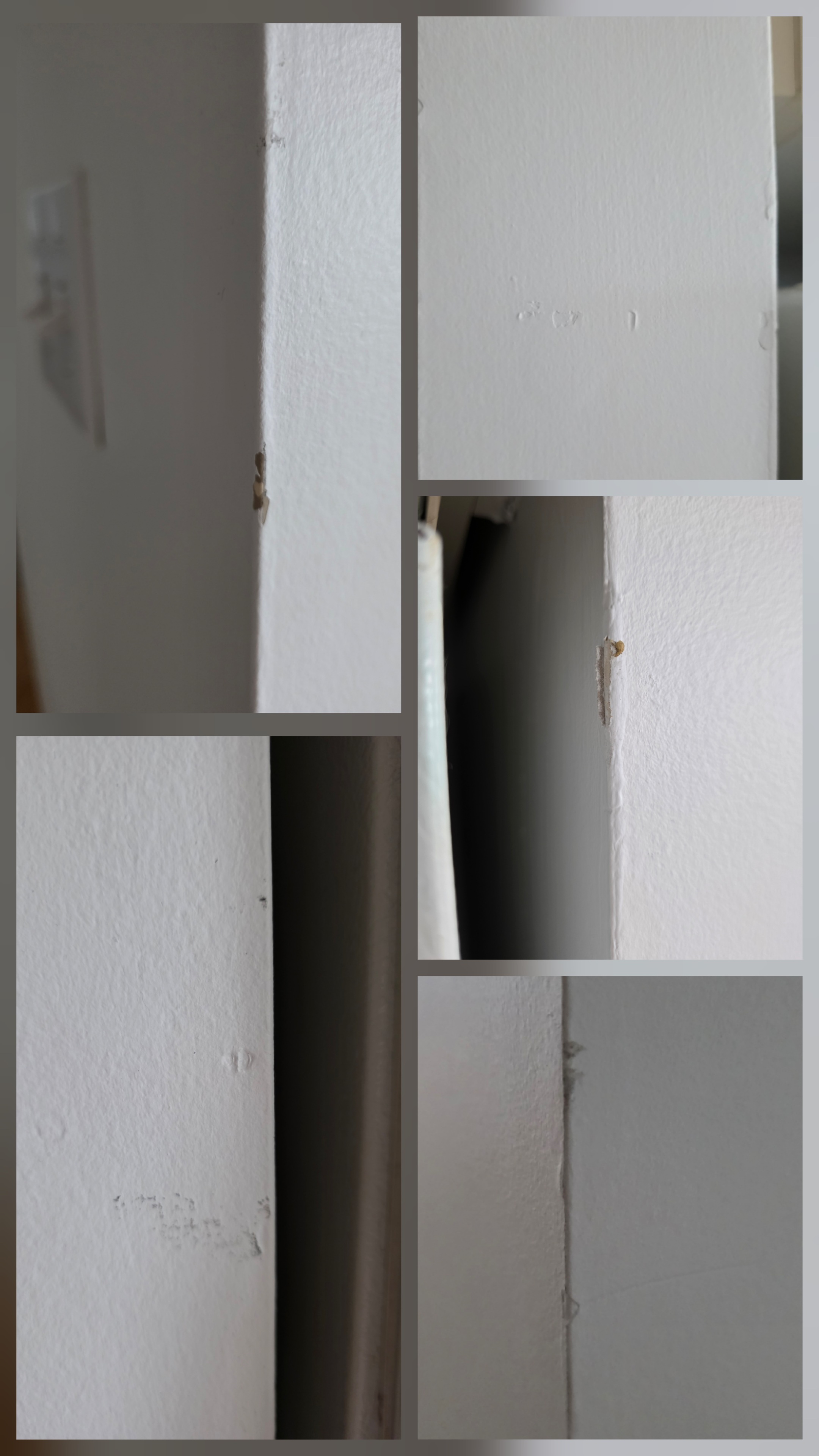 Mélina P.'s post 1