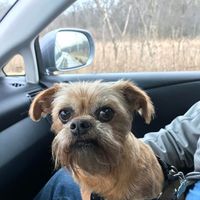 Mary Edb's profile image