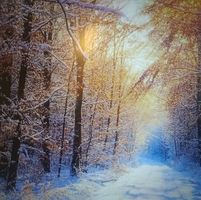 Pam Kasper McLaughlin's profile image