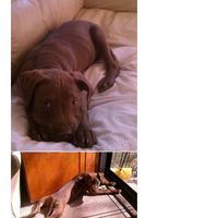 Sandra Marino Wilson's profile image