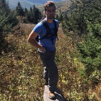Brian Hayes's profile image