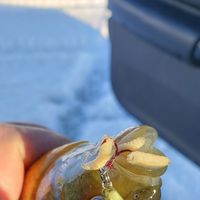 Kevin Winkler's profile image