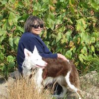 Pam Mark Larson's profile image