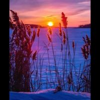 Rita Distefano Ramistella's profile image
