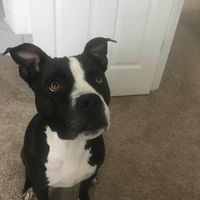 Debbie Jeffries's profile image