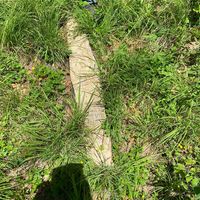 Lisa Disley's profile image