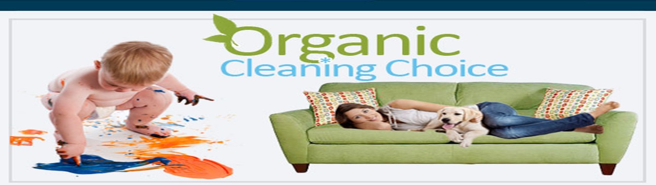 Almo Carpet Cleaning Irving's cover image
