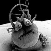 Justin Moschcau's profile image