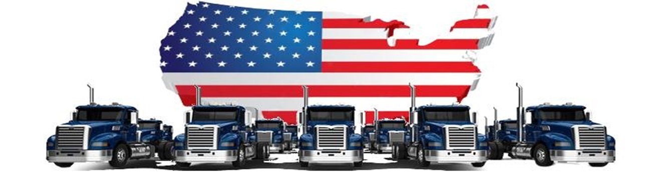 USA Auto Shipping's cover image