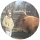 orlando zamora's Profile Image