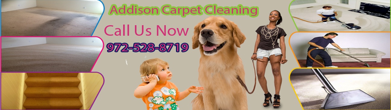 Addison TX Carpet Cleaning's cover image