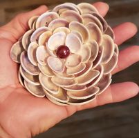 Donnaclaude Johnson's profile image