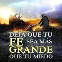 Luis Perez's profile image
