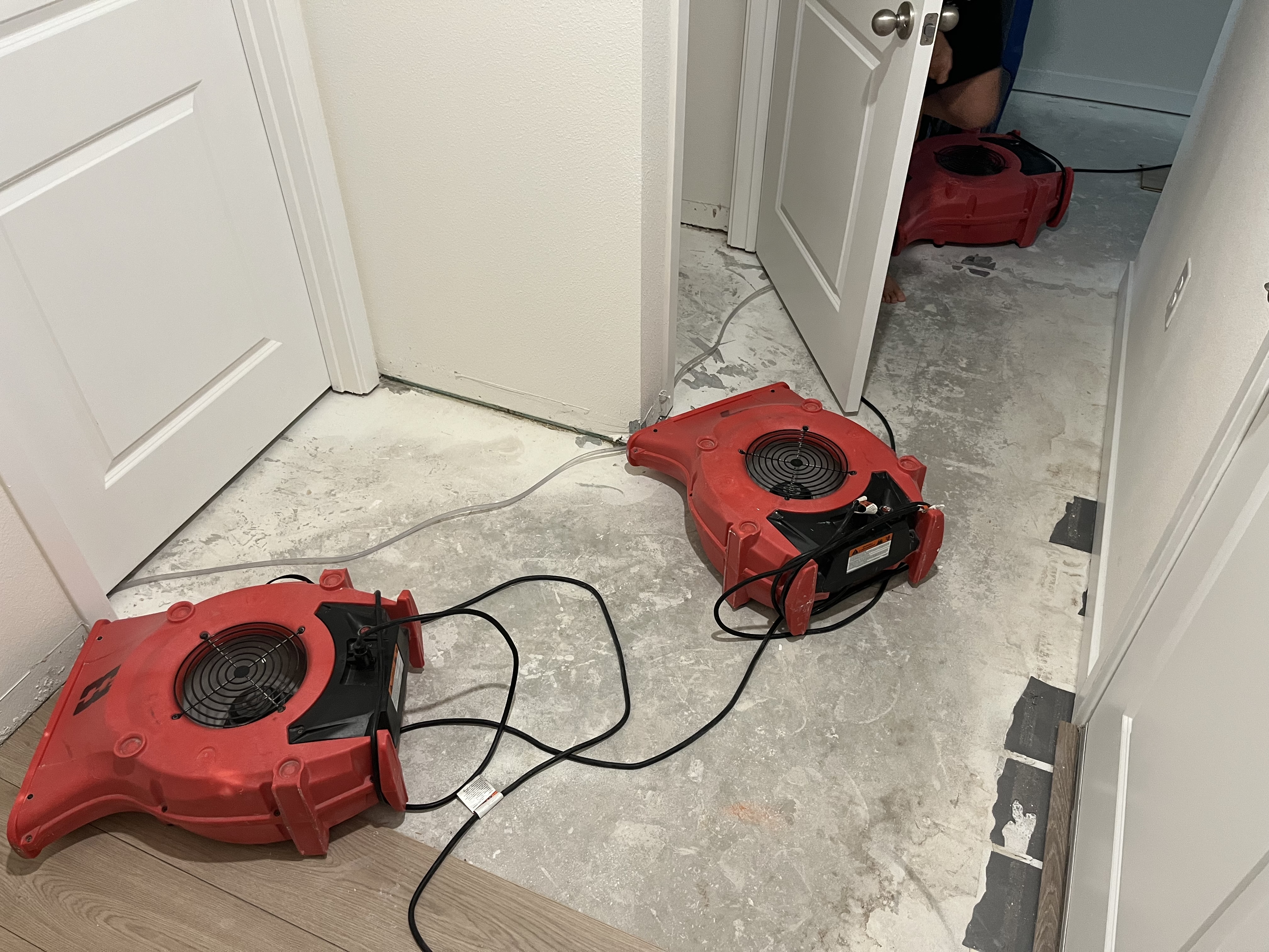 Dale L.'s post 1