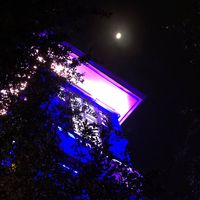 Manuel Flores's profile image