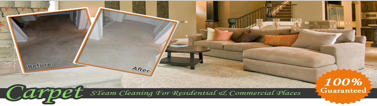 Carpet Cleaning Addison Texas's cover image