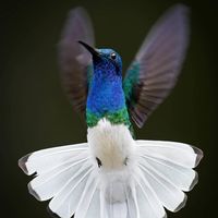 Marlyn Heglund's profile image