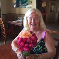 Mary Ann Sheek's profile image