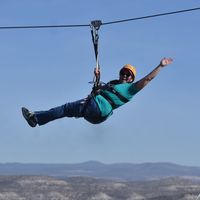 Laurie Harmon's profile image