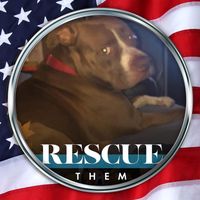Jackie L. Ross's profile image