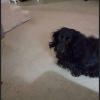 Kathy Smith Garnett's profile image