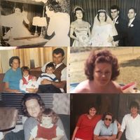 Mary Lou Dolan's profile image