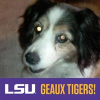 George Charlton's profile image