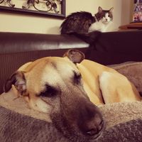 Jenny Katona Sisco's profile image