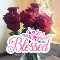 Melissa Apka's profile image