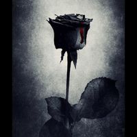 Grady Harvey's profile image