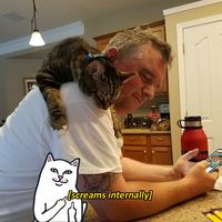 Richard Scott's profile image
