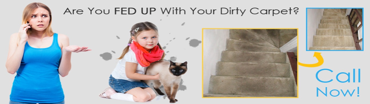 Carpet Cleaning in Irving TX's cover image