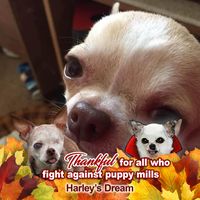 Kathleen Lacy's profile image