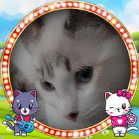Terri Hall Haskins's profile image