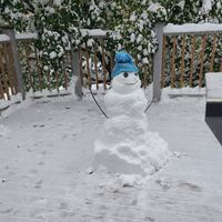 Mel Krech's profile image