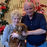 Delia Crowe's profile image