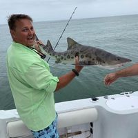Lodewyk Weideman's profile image