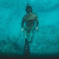 Cameron Thilo's profile image