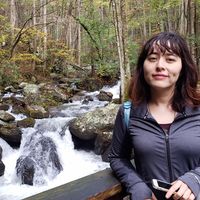 Elise Mcknight-Kim's profile image