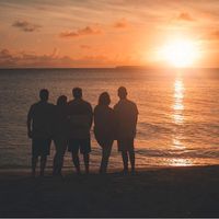 Patricia Muse's profile image