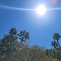 Christina Meza Moore's profile image
