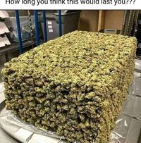 Jo Jo's profile image