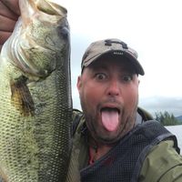 Dave Grafitti's profile image