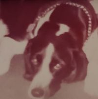 Bob Starr's profile image