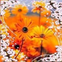 Judi Desmarais's profile image