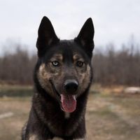 Bekka May Gunner's profile image