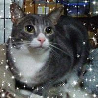 Margie Castimore Bonn's profile image