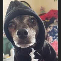Mike Gettings's profile image