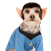 Dana Murphy's profile image