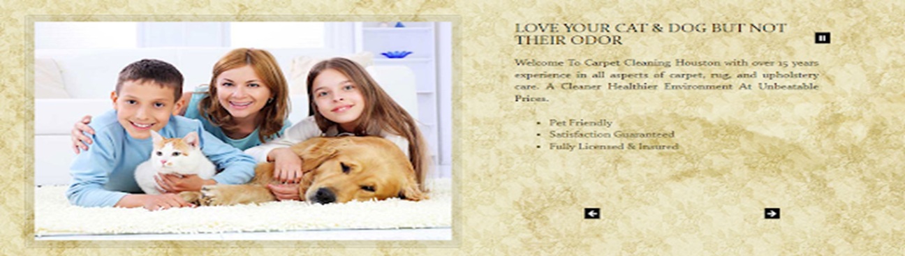 Mckinney Carpet Cleaners's cover image